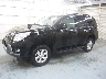 TOYOTA PRADO 2009 Image 1