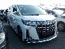 TOYOTA ALPHARD 2020 Image 20