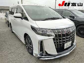 TOYOTA ALPHARD 2021 Image 1