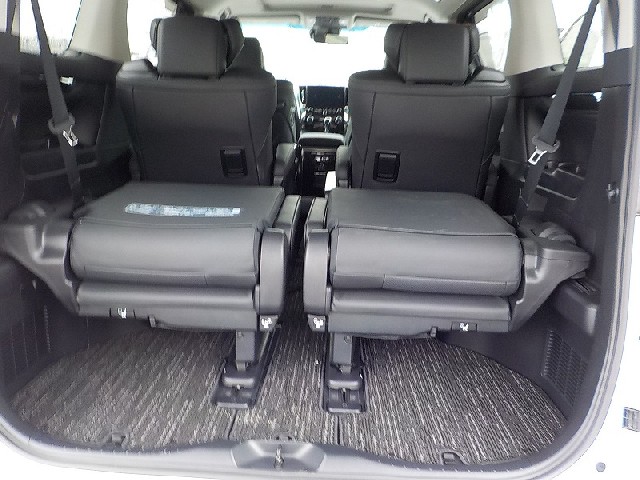 TOYOTA ALPHARD 2021 Image 19