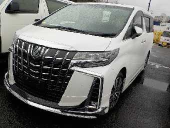 TOYOTA ALPHARD 2021 Image 15