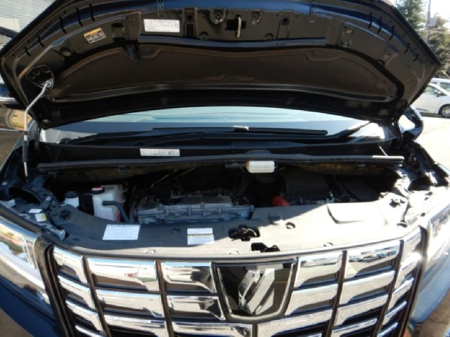 TOYOTA ALPHARD 2017 Image 29