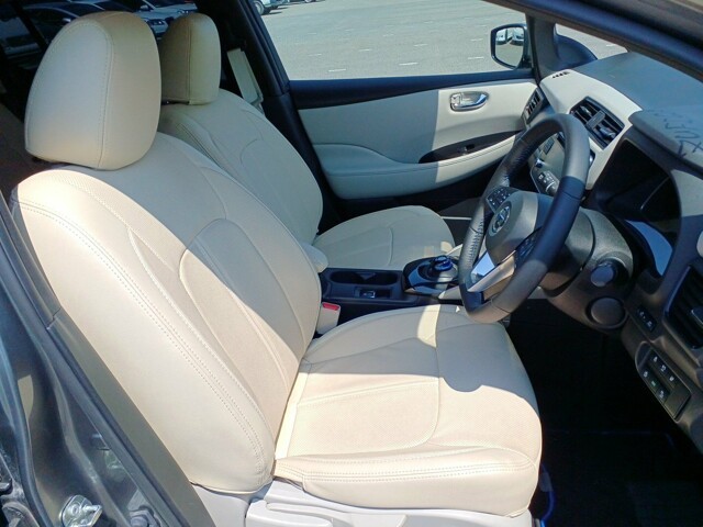 NISSAN LEAF 2019 Image 22