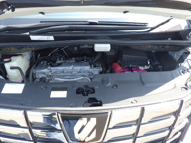 TOYOTA ALPHARD 2017 Image 28