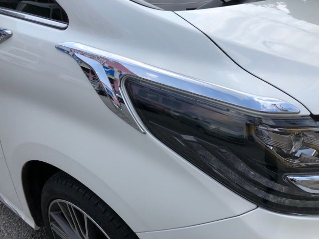 TOYOTA ALPHARD 2018 Image 21