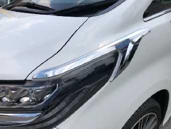 TOYOTA ALPHARD 2018 Image 16