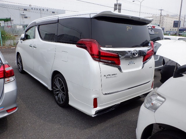 TOYOTA ALPHARD 2018 Image 64