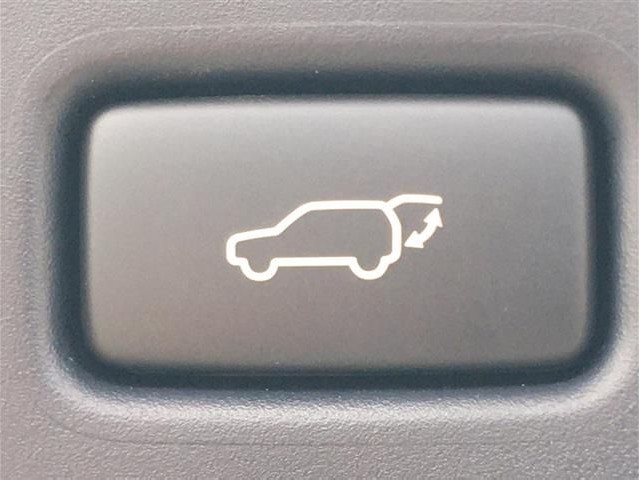 TOYOTA HARRIER 2020 Image 40