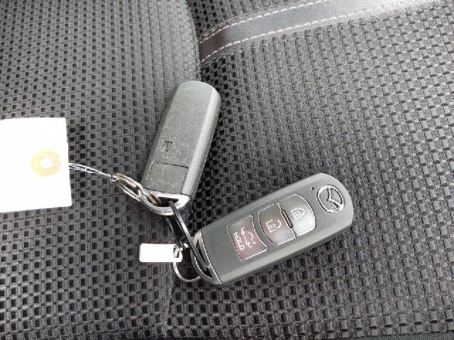 MAZDA AXELA 2017 Image 19