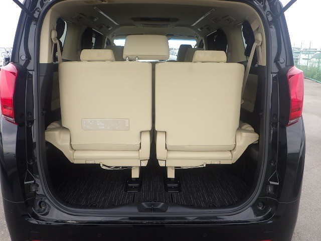TOYOTA ALPHARD 2020 Image 20