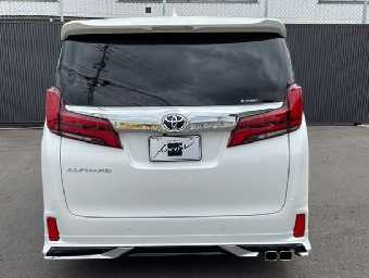TOYOTA ALPHARD 2020 Image 4
