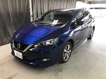 NISSAN LEAF 2019 Image 4