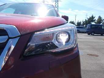 SUBARU FORESTER 2017 Image 5