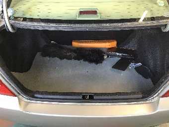 TOYOTA COROLLA 2000 Image 6