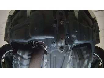 TOYOTA IPSUM 2008 Image 10