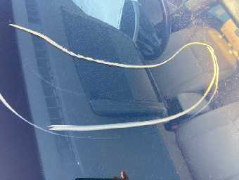 TOYOTA SAI 2012 Image 25