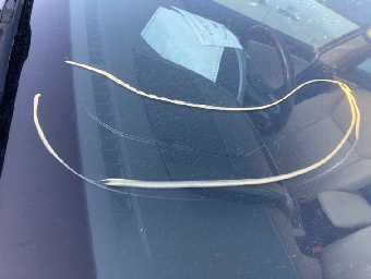 TOYOTA SAI 2012 Image 27