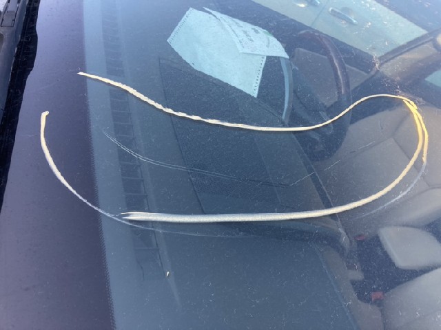 TOYOTA SAI 2012 Image 33