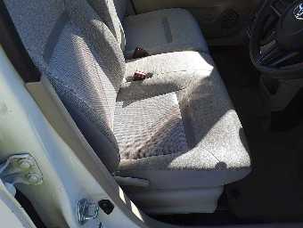 TOYOTA PASSO 2017 Image 8