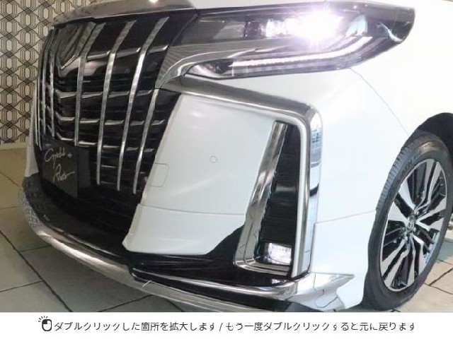 TOYOTA ALPHARD 2021 Image 39