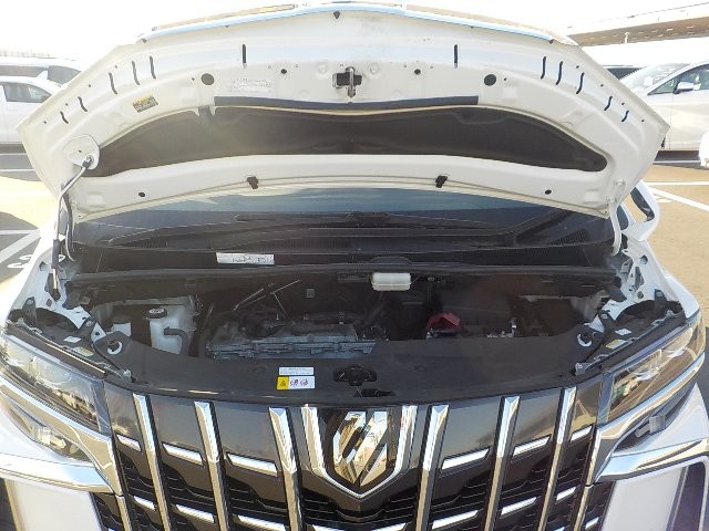 TOYOTA ALPHARD 2019 Image 28