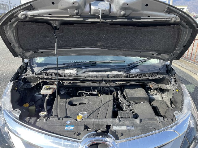 MAZDA BIANTE 2017 Image 22