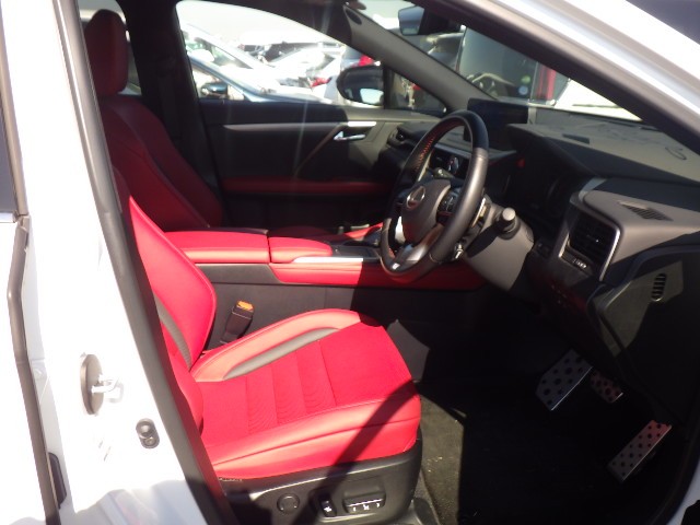 LEXUS RX 2021 Image 19