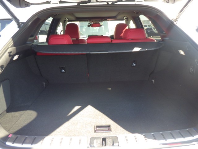 LEXUS RX 2021 Image 21