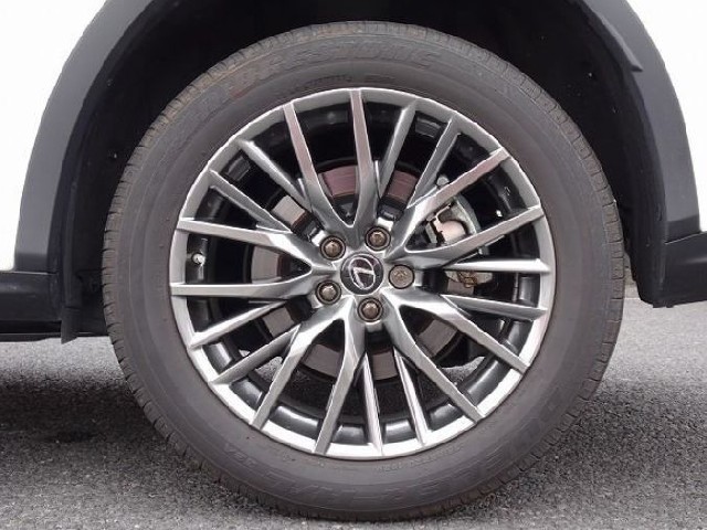 LEXUS RX 2021 Image 23