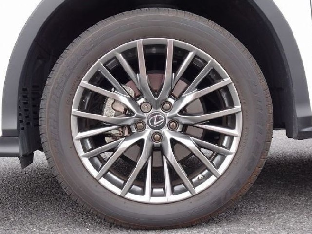 LEXUS RX 2021 Image 24