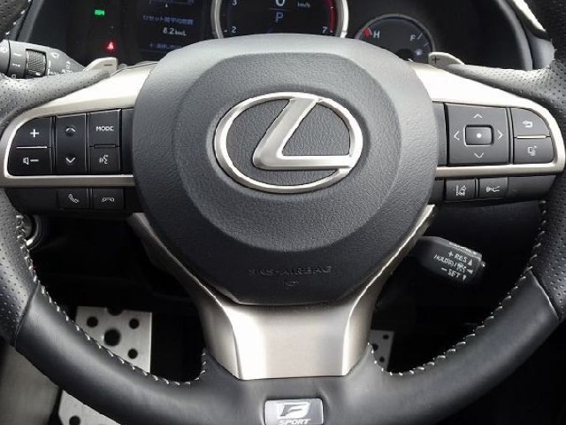LEXUS RX 2021 Image 28
