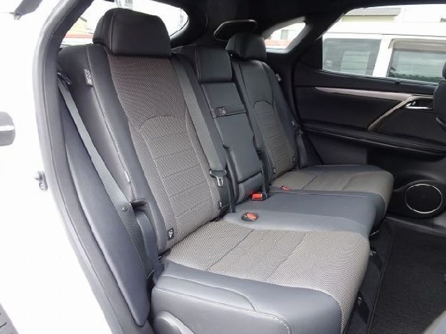 LEXUS RX 2021 Image 48