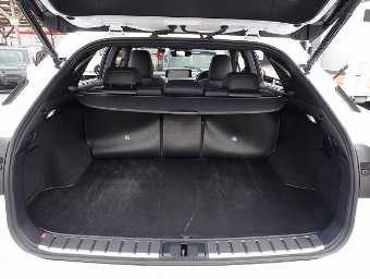 LEXUS RX 2021 Image 49