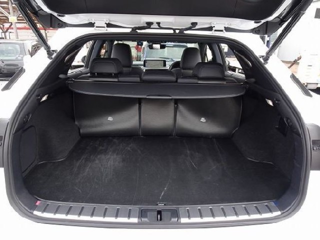 LEXUS RX 2021 Image 55