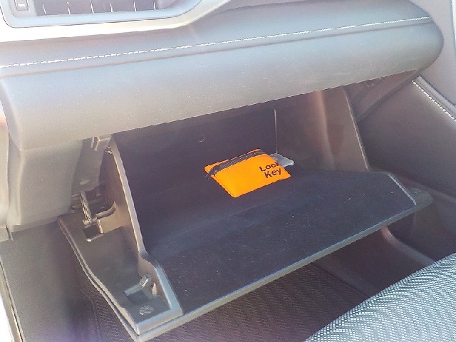 LEXUS RX 2021 Image 59