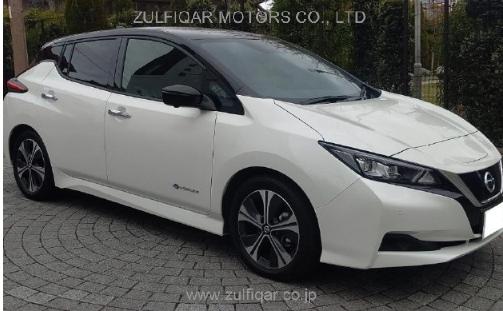 NISSAN LEAF 2020 Image 1