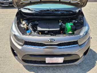 KIA PICANTO 2019 Image 10