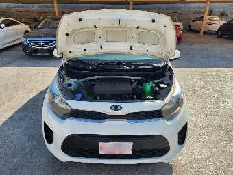 KIA PICANTO 2019 Image 9