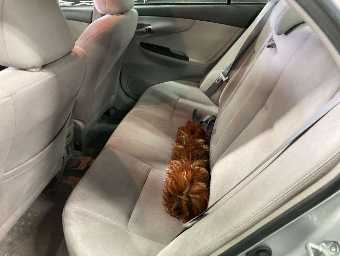 TOYOTA COROLLA AXIO 2007 Image 8