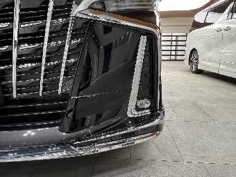 TOYOTA ALPHARD 2020 Image 8