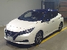 NISSAN LEAF 2019 Image 1