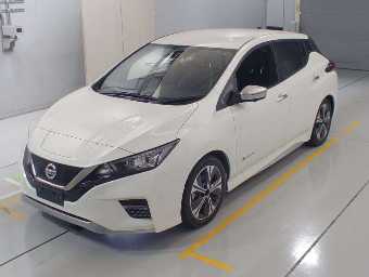 NISSAN LEAF 2019 Image 1