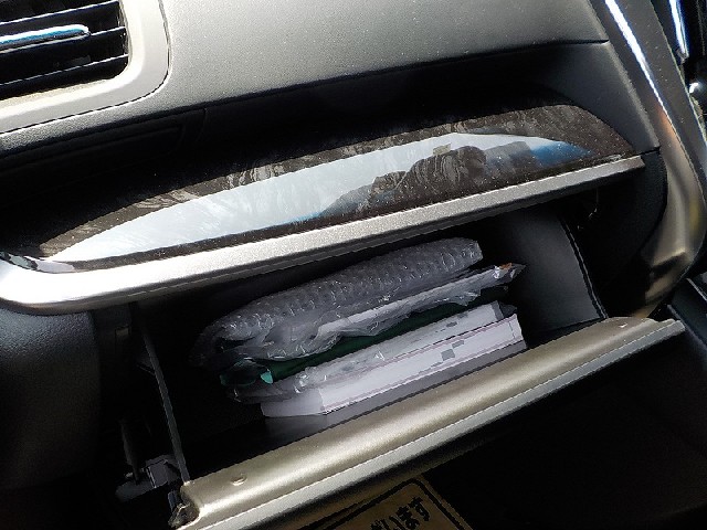 TOYOTA ALPHARD 2019 Image 20