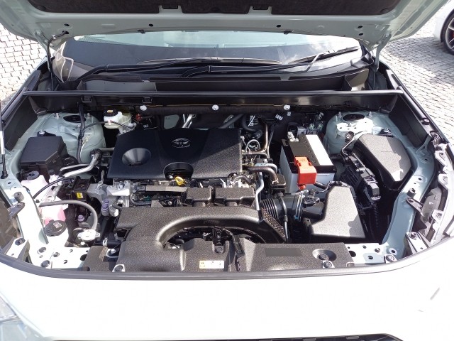 TOYOTA RAV-4 2020 Image 36