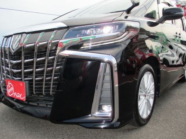 TOYOTA ALPHARD 2018 Image 36