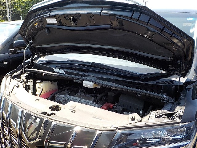 TOYOTA ALPHARD 2018 Image 48