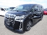 TOYOTA ALPHARD 2019 Image 10