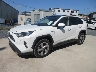 TOYOTA RAV-4 2020 Image 1