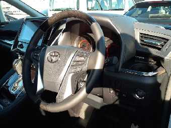 TOYOTA ALPHARD 2022 Image 7