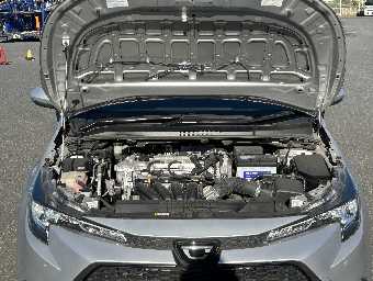 TOYOTA COROLLA 2019 Image 14